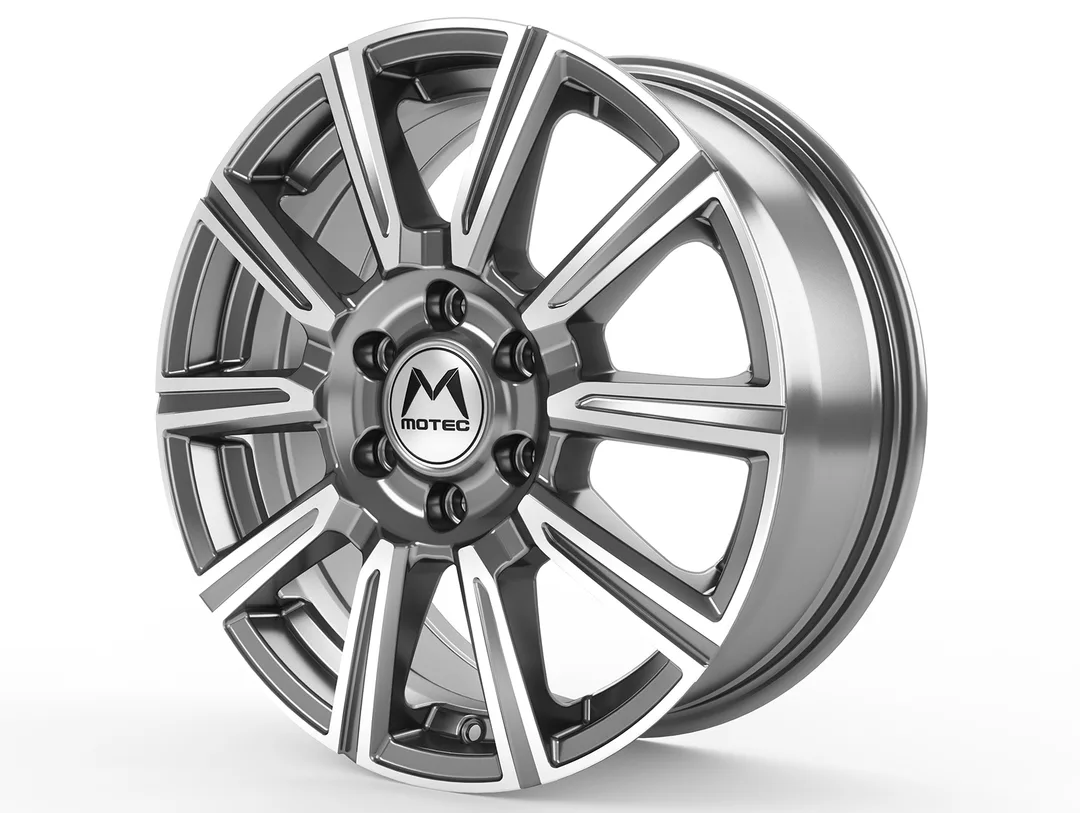 Motec WM1 Vantastic