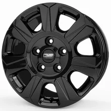 CMS C31 CBG