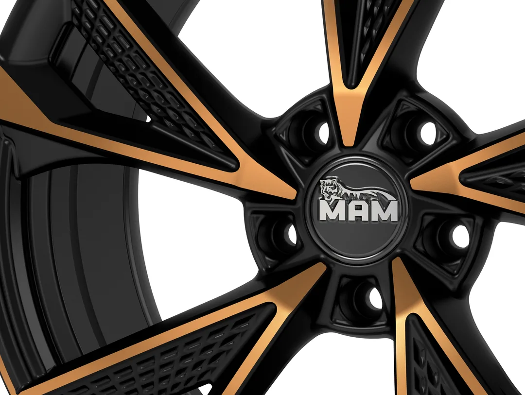 MAM RS6