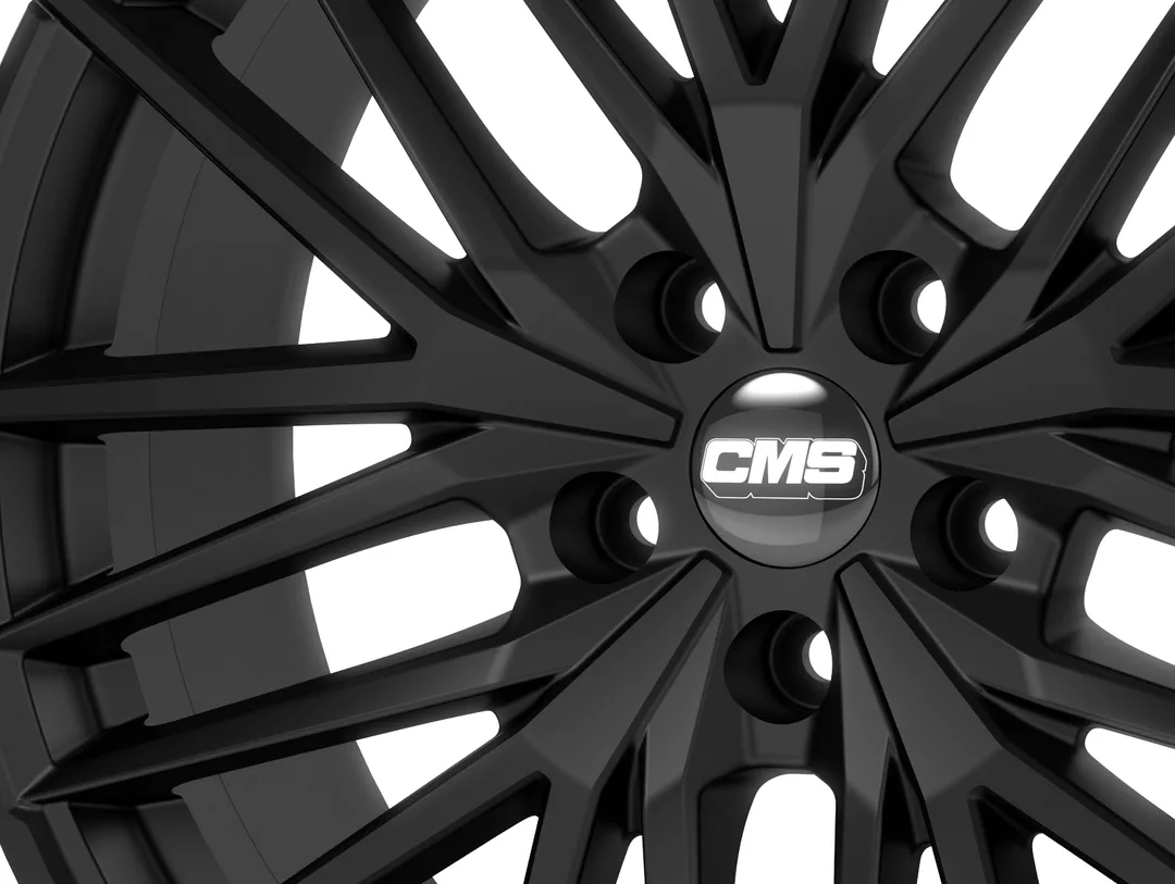 CMS C36