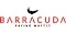 Barracuda logo
