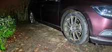 Customer photo from : 